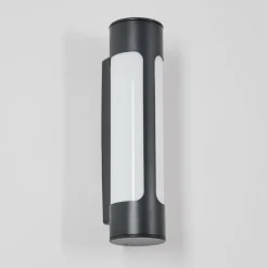 Biran Lampe murale d´extérieur, Applique murale LED Anthracite, 1 lumière