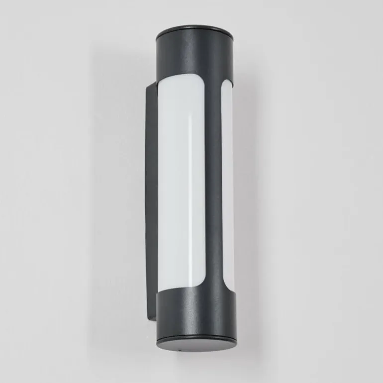 Biran Lampe murale d´extérieur, Applique murale LED Anthracite, 1 lumière