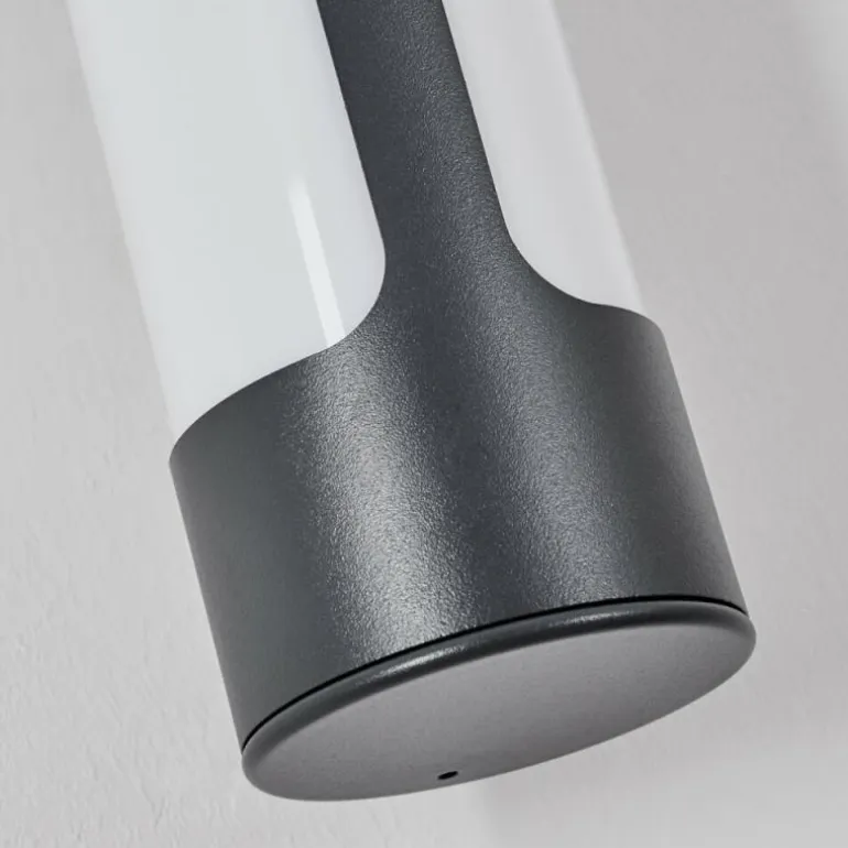 Biran Lampe murale d´extérieur, Applique murale LED Anthracite, 1 lumière