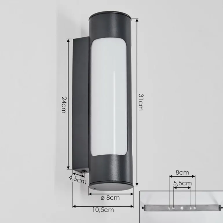 Biran Lampe murale d´extérieur, Applique murale LED Anthracite, 1 lumière