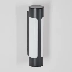 Biran Lampe murale d´extérieur, Applique murale LED Anthracite, 1 lumière
