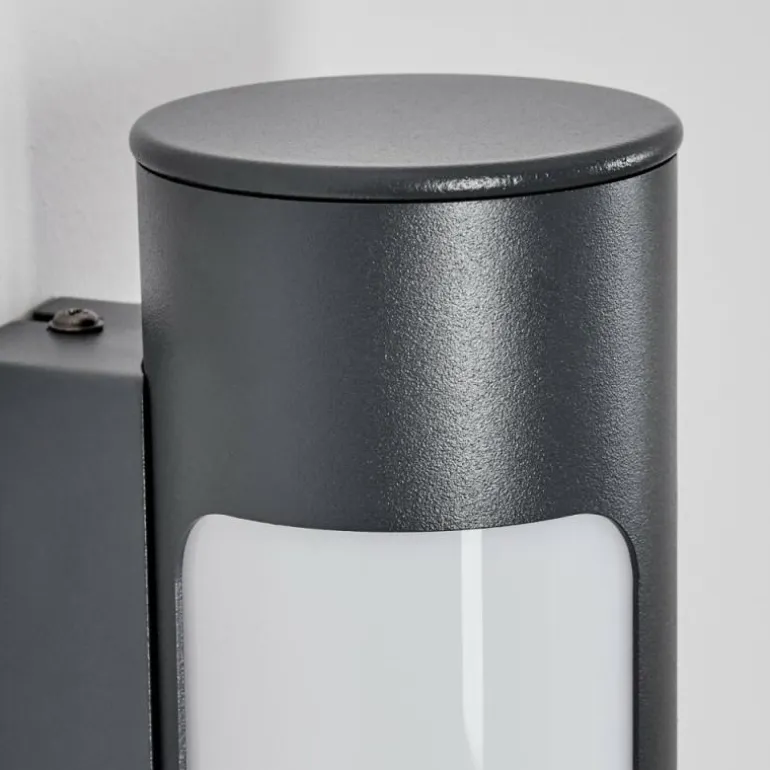 Biran Lampe murale d´extérieur, Applique murale LED Anthracite, 1 lumière