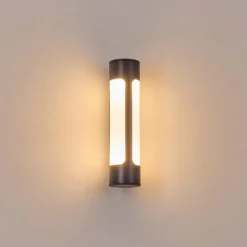 Biran Lampe murale d´extérieur, Applique murale LED Anthracite, 1 lumière