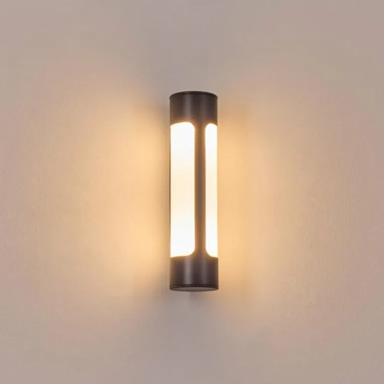 Biran Lampe murale d´extérieur, Applique murale LED Anthracite, 1 lumière