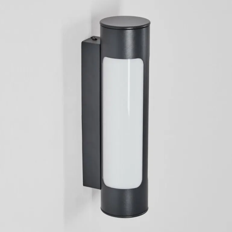 Biran Lampe murale d´extérieur, Applique murale LED Anthracite, 1 lumière