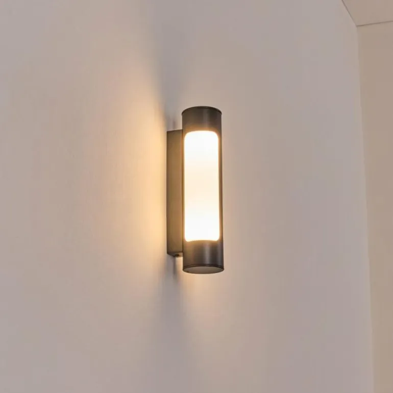 Biran Lampe murale d´extérieur, Applique murale LED Anthracite, 1 lumière
