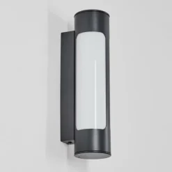 Biran Lampe murale d´extérieur, Applique murale LED Anthracite, 1 lumière