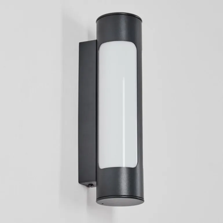 Biran Lampe murale d´extérieur, Applique murale LED Anthracite, 1 lumière