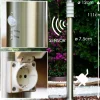 Borne d'éclairage Tunes Acier inoxydable, 1 lumière, Détecteur de mouvement