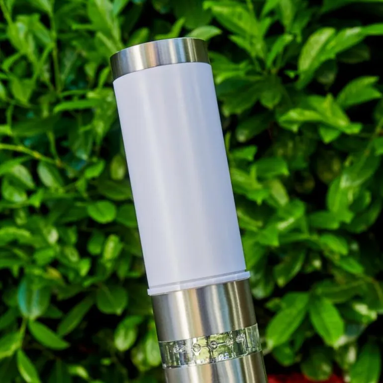 Borne d'éclairage Walise Acier inoxydable, 1 lumière, Détecteur de mouvement