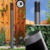 Borne lumineuse Gaborone Anthracite, 1 lumière