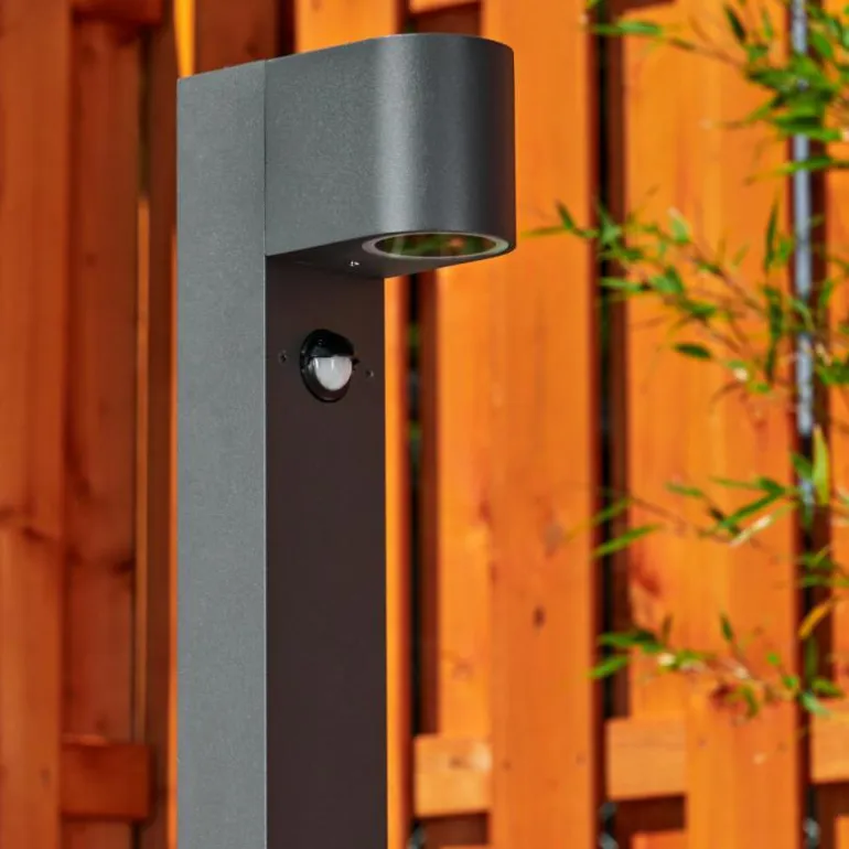 Borne lumineuse Kingstown Anthracite, 1 lumière, Détecteur de mouvement