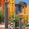 Borne lumineuse Radnor Anthracite, 1 lumière