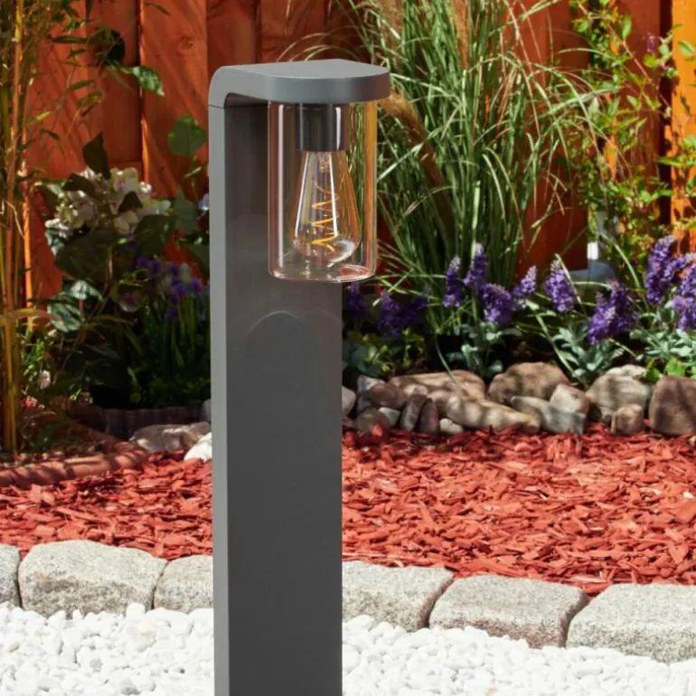 Borne lumineuse Radnor Anthracite, 1 lumière