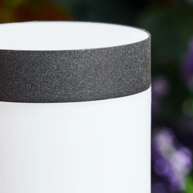 Borne lumineuse Ruti Noir, 1 lumière