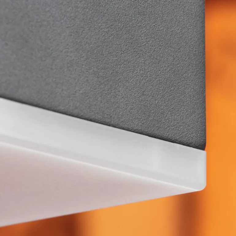 Borne lumineuse Toogong LED Anthracite, 1 lumière