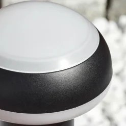 Borne lumineuse Vinara LED Noir, 1 lumière