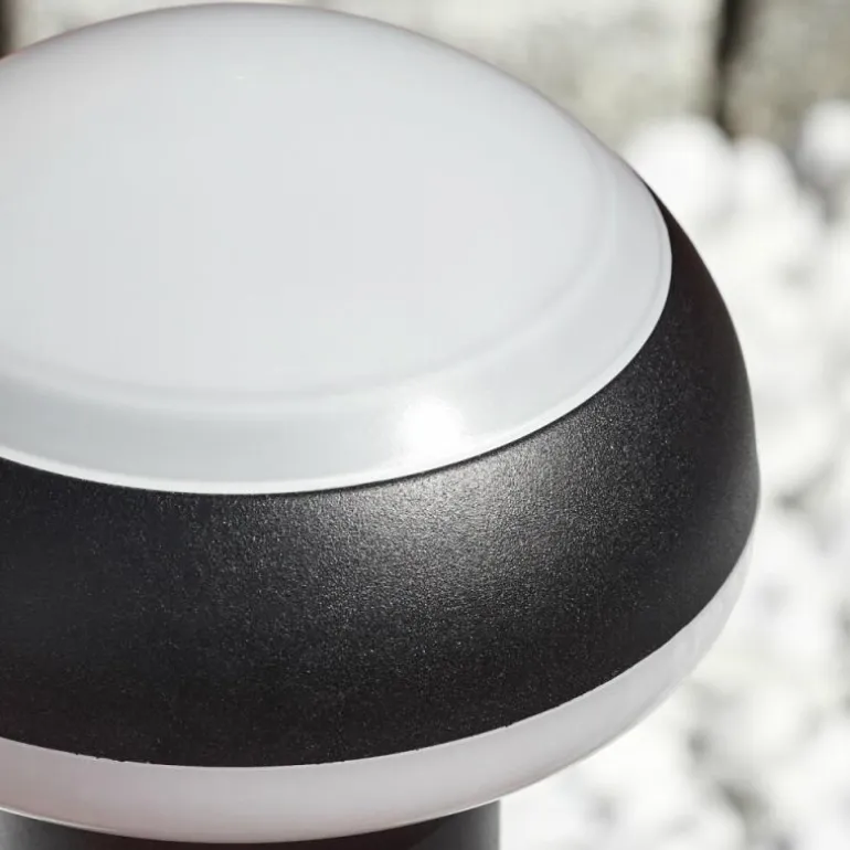 Borne lumineuse Vinara LED Noir, 1 lumière
