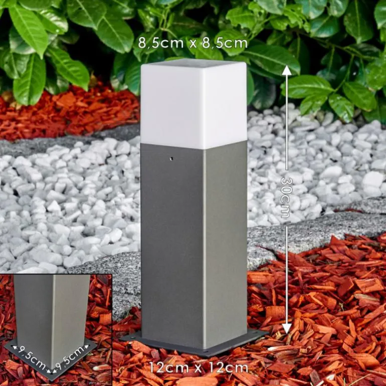 Borne lumineuse Algier LED Anthracite, 1 lumière