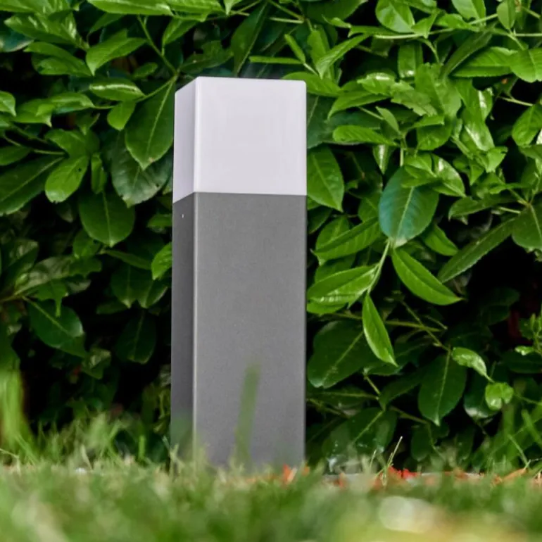 Borne lumineuse Algier LED Anthracite, 1 lumière