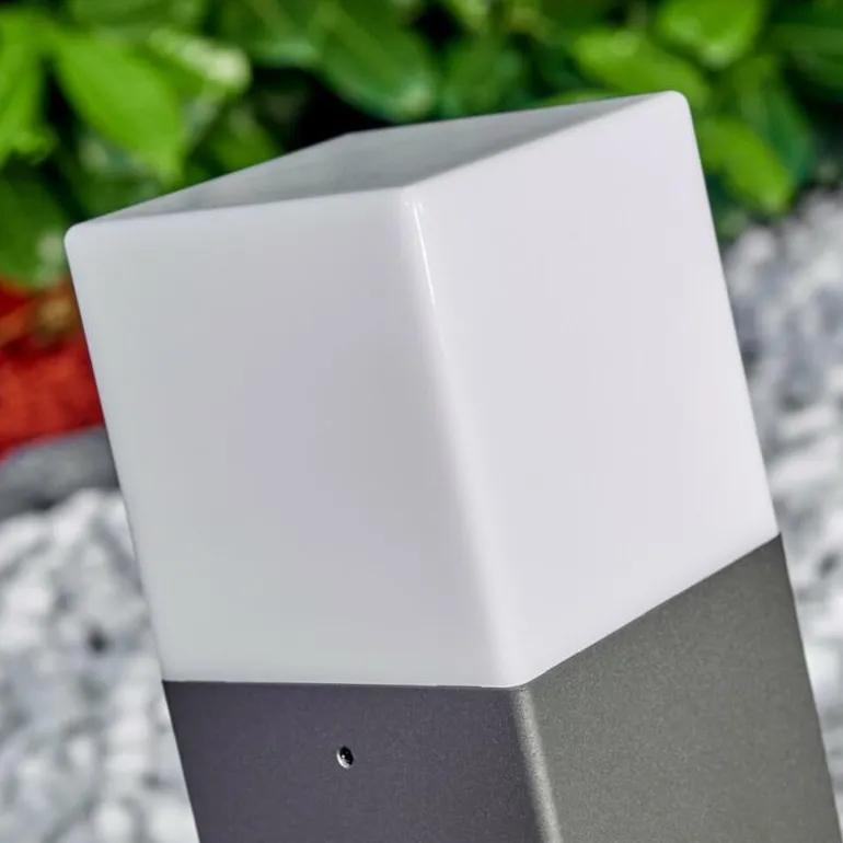 Borne lumineuse Algier LED Anthracite, 1 lumière