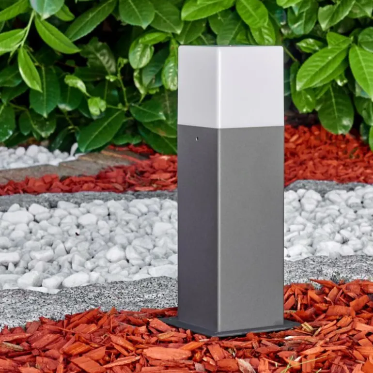 Borne lumineuse Algier LED Anthracite, 1 lumière