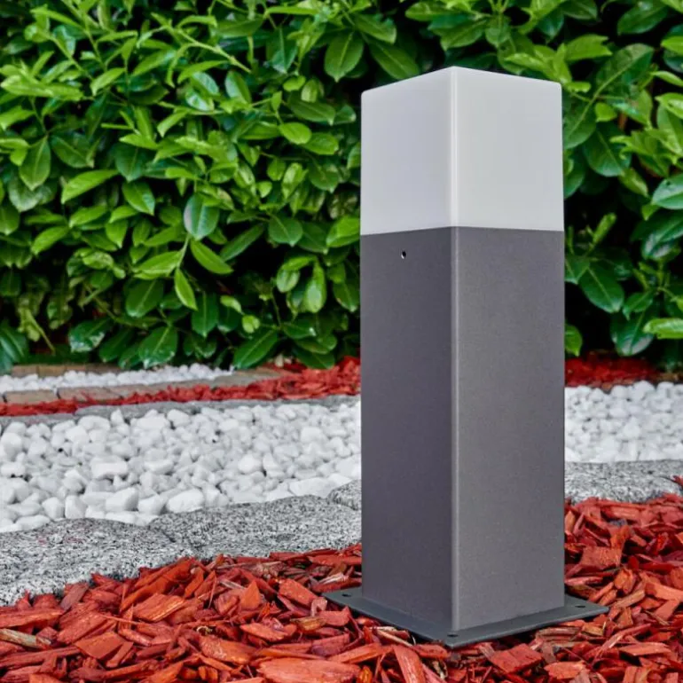 Borne lumineuse Algier LED Anthracite, 1 lumière