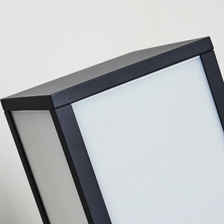 Borne lumineuse Apidou LED Anthracite, 1 lumière