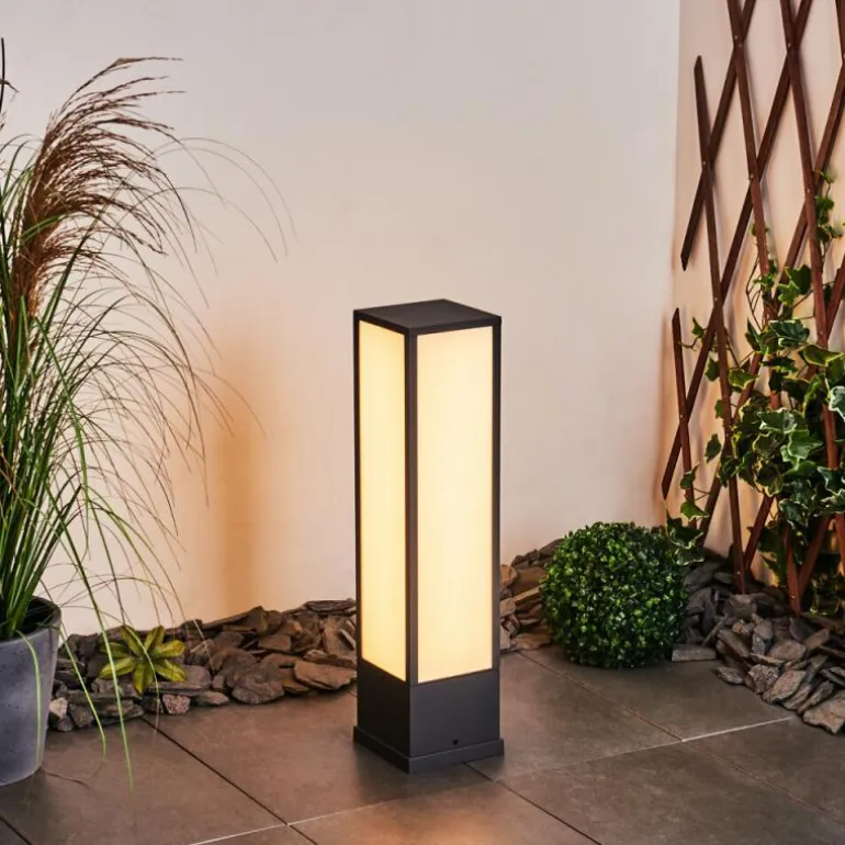Borne lumineuse Apidou LED Anthracite, 1 lumière