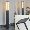 Borne lumineuse Apidou LED Anthracite, 1 lumière