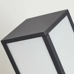 Borne lumineuse Apidou LED Anthracite, 1 lumière