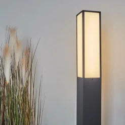 Borne lumineuse Apidou LED Anthracite, 1 lumière