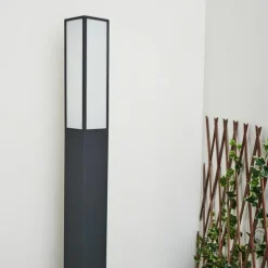 Borne lumineuse Apidou LED Anthracite, 1 lumière