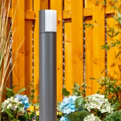 Borne lumineuse Baulund LED Anthracite, 1 lumière