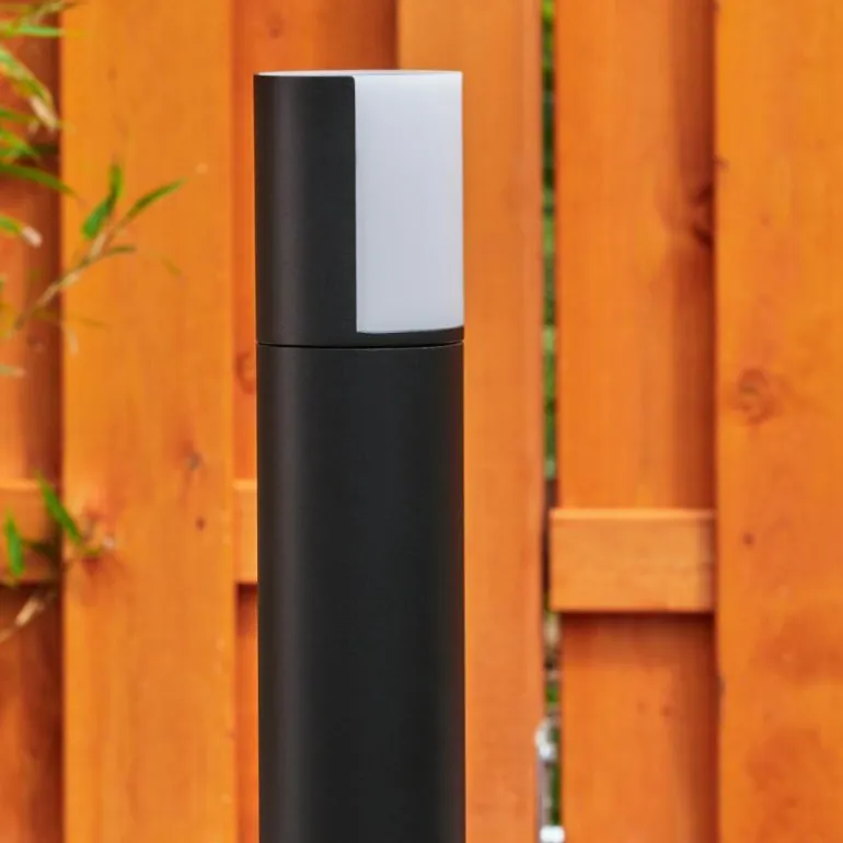 Borne lumineuse Baulund LED Noir, 1 lumière