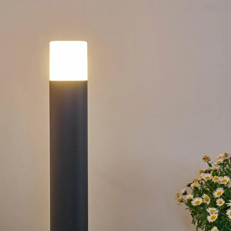 Borne lumineuse Buhrkall Anthracite, 1 lumière