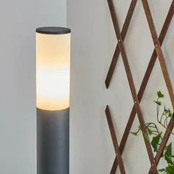 Borne lumineuse Caserta Anthracite, 1 lumière