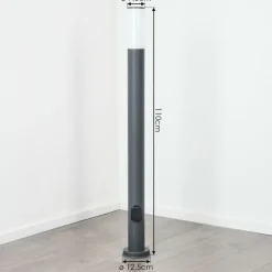 Borne lumineuse Caserta Anthracite, 1 lumière