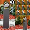Borne lumineuse Falatasa LED Anthracite, 1 lumière