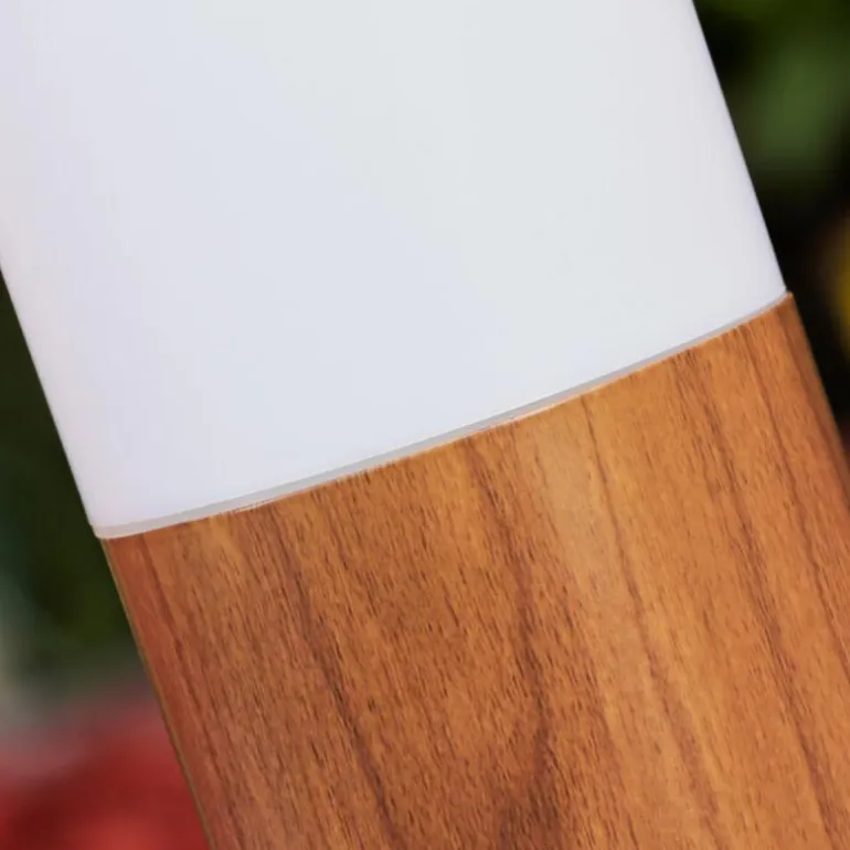 Borne lumineuse Gabarone Brun, Couleur bois, 1 lumière