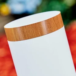 Borne lumineuse Gaborone Brun, Couleur bois, 1 lumière, Détecteur de mouvement