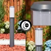 Borne lumineuse Gondoyer Anthracite, 1 lumière