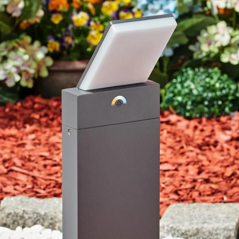 Borne lumineuse Heraklion LED Anthracite, 1 lumière