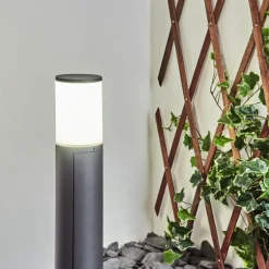 Borne lumineuse Home LED Anthracite, 1 lumière