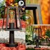 Borne lumineuse Juanico Noir, 1 lumière