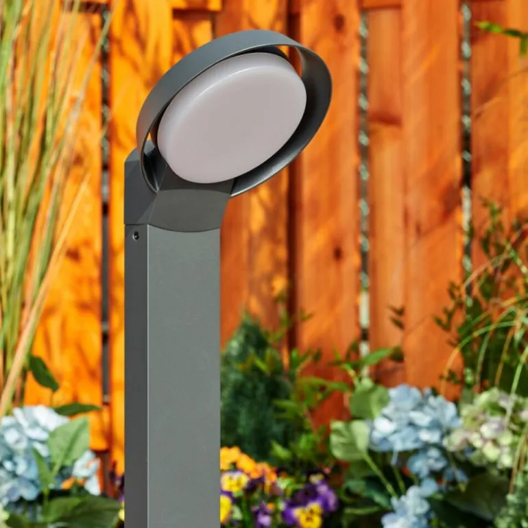 Borne lumineuse Kelo LED Anthracite, 1 lumière
