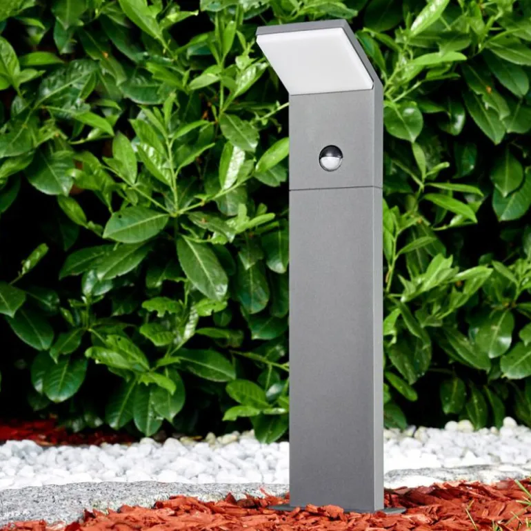 Borne lumineuse Korup LED Anthracite, 1 lumière, Détecteur de mouvement