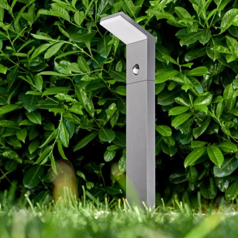 Borne lumineuse Korup LED Anthracite, 1 lumière, Détecteur de mouvement