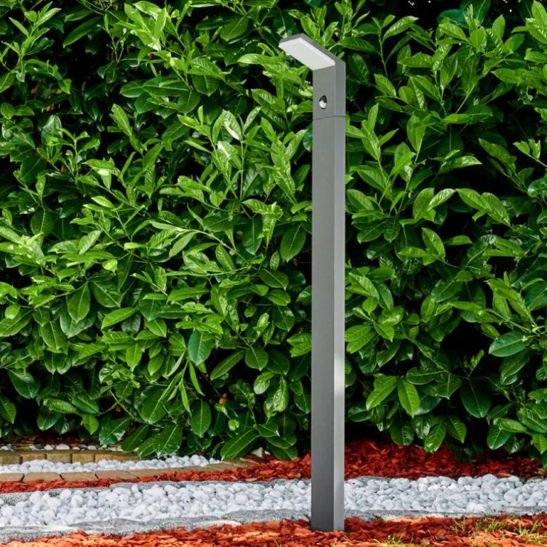 Borne lumineuse Korup LED Anthracite, 1 lumière, Détecteur de mouvement
