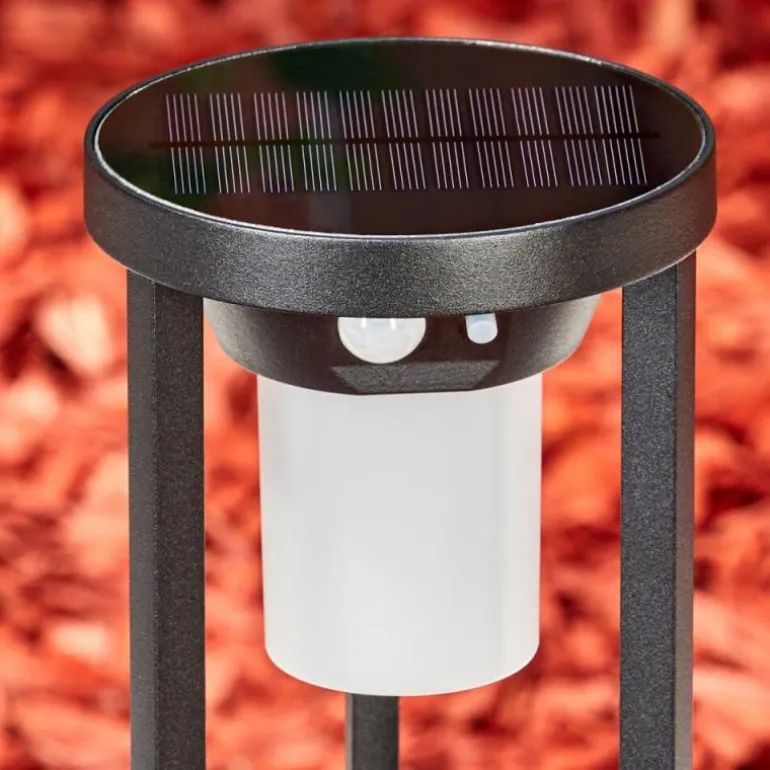 Borne lumineuse Lokpano LED Noir, Blanc, 1 lumière, Détecteur de mouvement
